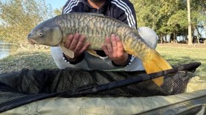 Небольшой баттл на самую крупную рыбу