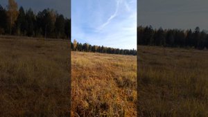 озеро чикалинское