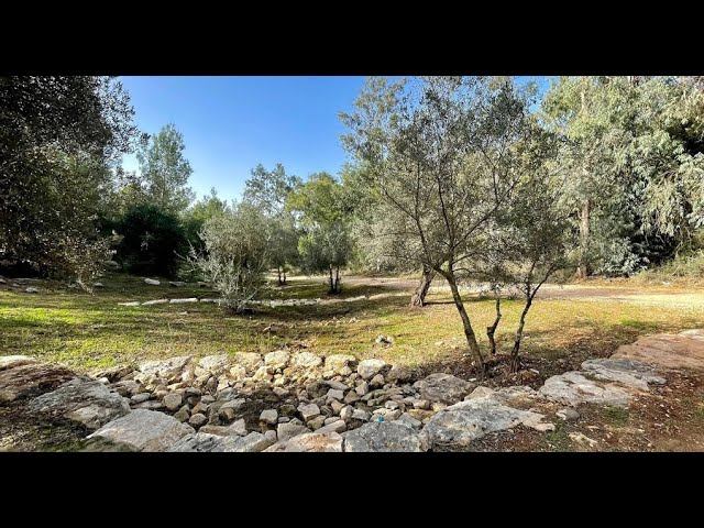 2 декабря 2023 г смотреть онлайн