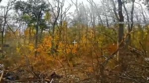 🔴Колумбийский наёмник.🔴