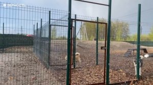 Преображение приюта благотворительной организации «Верность»