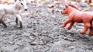 Маленькая история жеребят. Лошади шляйх видео.