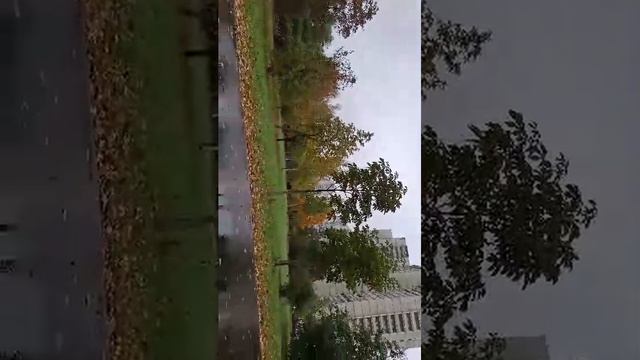 осень осень