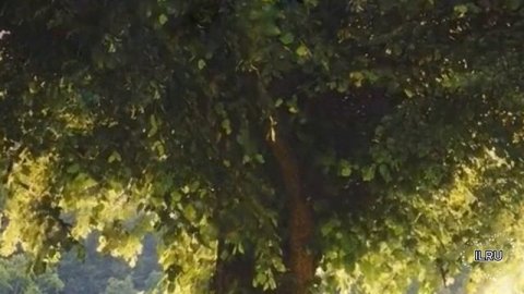 Слушать рассказ  - Жизнь до и после тебя - Удивительные истории из жизни