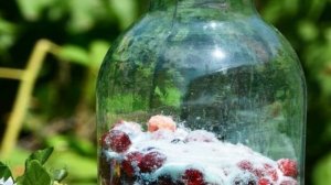 Компот из вишни и малины