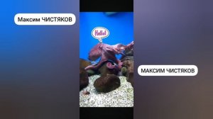 Москвариум: Погружение в подводный мир! 23 марта 2021 год.