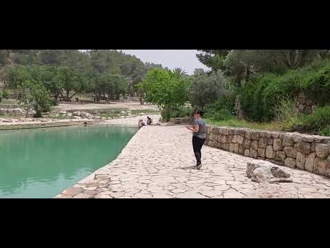 Парк Канада 11.05.2024 г. смотреть онлайн