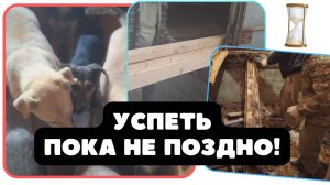 Без вас не справиться