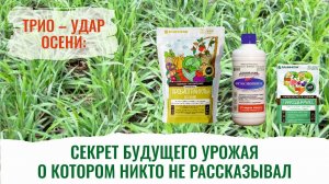 Азбука сада. Какие удобрения вносить осенью?
