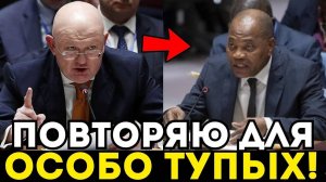 ТАКОГО ХАМСТВА ЕЩЕ НЕ БЫЛО! НЕБЕНЗЯ ОСАДИЛ ЗАПАДНЫХ ВЫСКОЧЕК НА СОВБЕЗЕ ООН! ВИДЕО