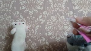 Первое видео на новую тему)