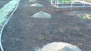 Вношу на грядки органику