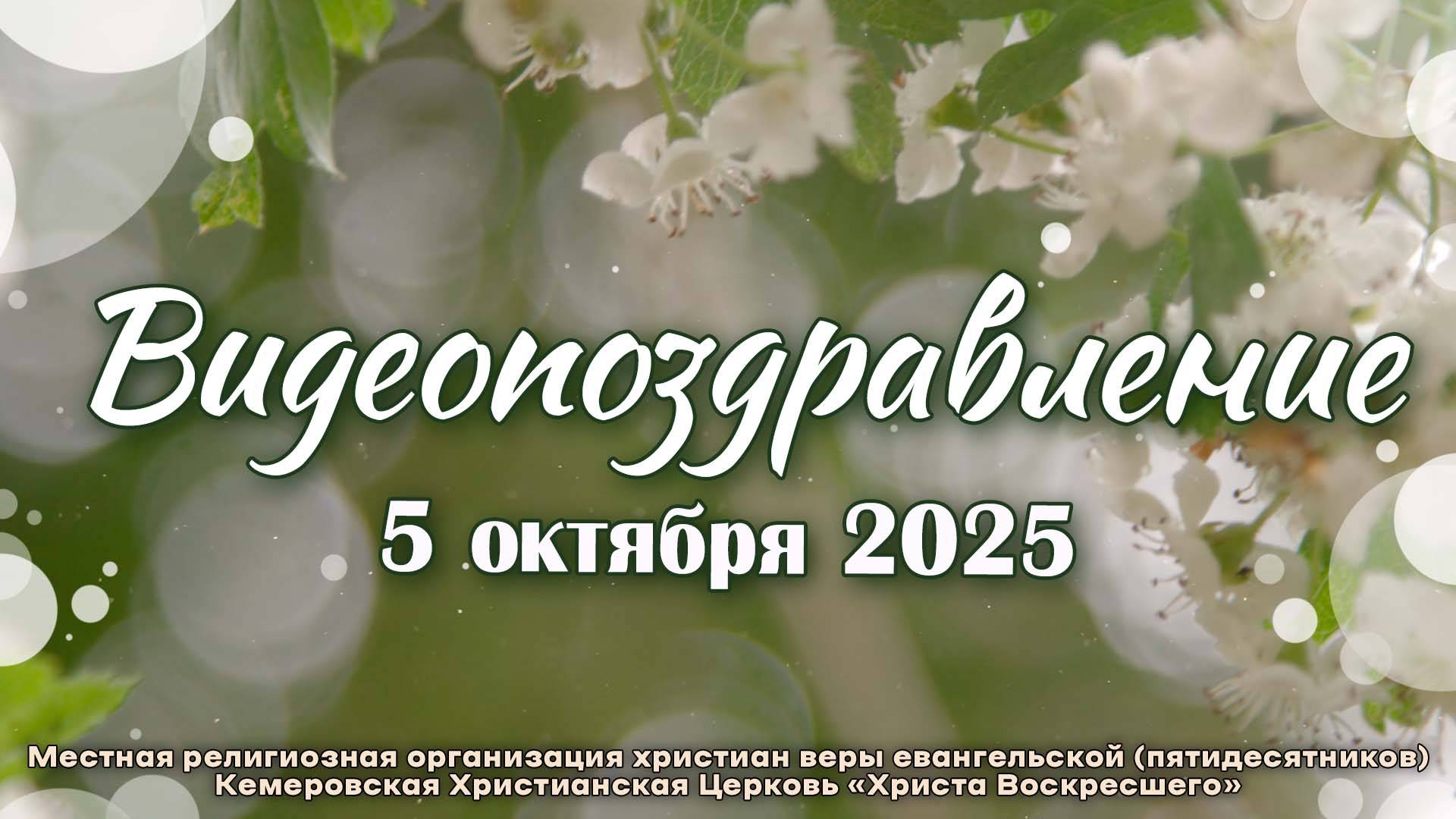 ВИДЕОПОЗДРАВЛЕНИЕ | 05.10.2025
