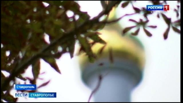На Ставрополье пришло бабье лето. Надолго ли?