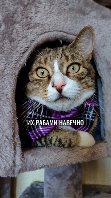 Никогда не делайте это