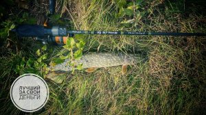 CF STRIKE 712ULS | А ОН ХОРОШ! | НАКАЗАЛИ ХОЗЯЙКУ ВОДОЕМА