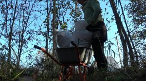 6 соток 1 октября 2025 года. 2 часть. Голубика.