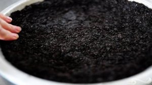 Кремовый торт с малиной