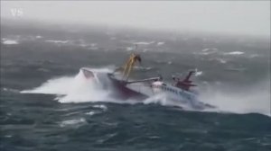 МОРСКОЙ КАПРИЗ