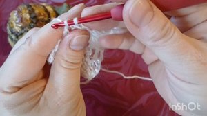 Бактус"Белоснежный".Связан крючком.