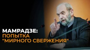 Политолог Петре Мамрадзе о событиях в Тбилиси, реакции Запада и планах оппозиции