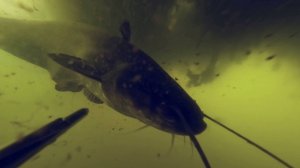 Я рискнул и проиграл