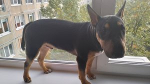 Учат в школе