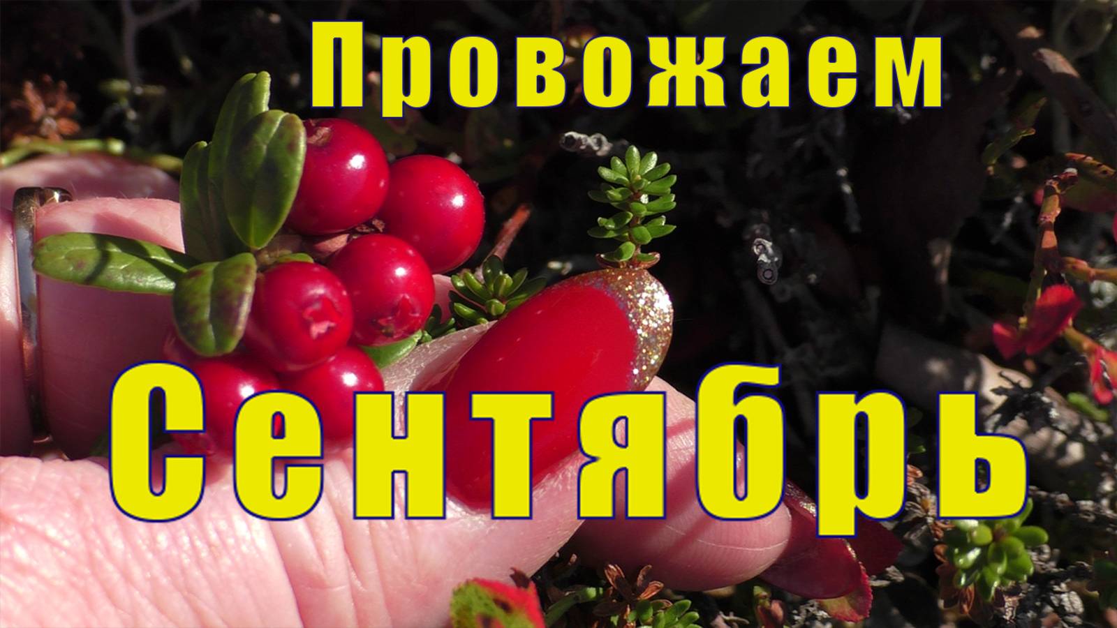 ПРОВОЖАЕМ СЕНТЯБРЬ В ЛЕСУ/ НАДЕЖДА ТОЛЬКО НА СЕБЯ / 30 сентября 2025