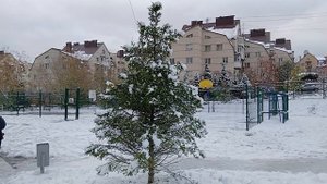 Новосибирск сегодня. Снегопад в Новосибирске. В Новосибирск пришла зима