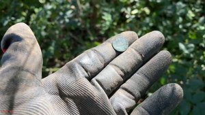 Накопал монет с Garrett Vortex Серебро