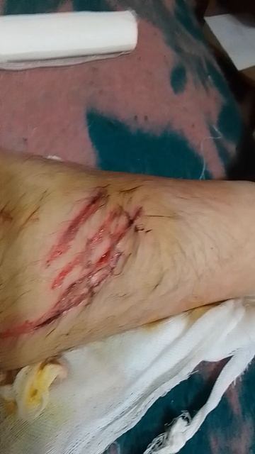 скоро премия Дарвина моя 🥇 смотреть онлайн