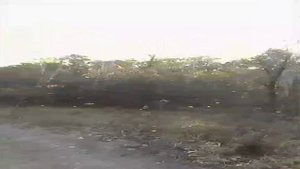 Ах шальная осень