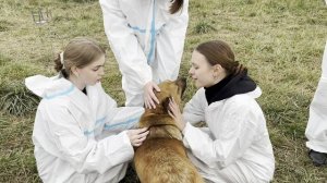 Колледж культуры и искусства в приюте - 03.10.25