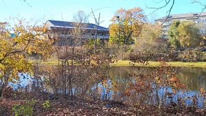 07-10-2025 - Лучегорск