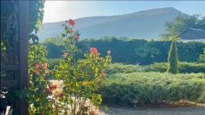 Раннее утро в Байдарской долине село Орлиное Крым сентябрь 2025