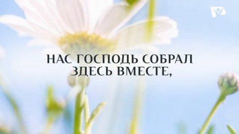 Как приятно