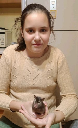 Вопросы и ответы 😜