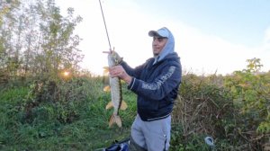 Рыбалка в Подмосковье. Жостово. Рыбалка на канале Москвы