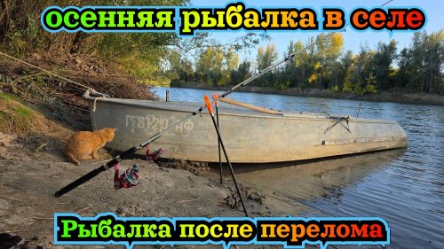 Surat pornografik ayollarning telefonida olingan.