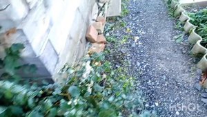 Жизнь в деревне.Чем занималась в выходные.