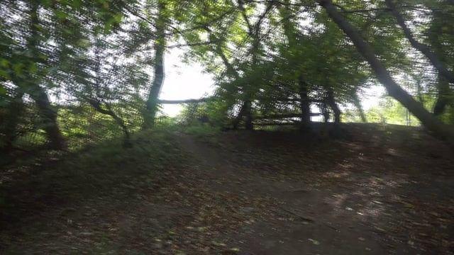 Нагорный парк-1