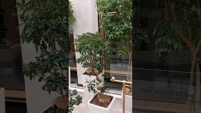 Москва. зимний сад, кремлевский дворец смотреть онлайн