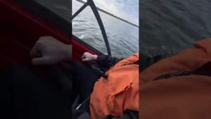 Неман 420 DCM NEW с мотором 30 лс