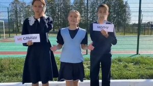 Видео по коррупции