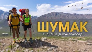 Шумак | 11 дней в дикой природе | Выживание в непогоду