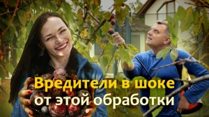 ГЛАВНОЕ в осенней обработке деревьев Бесплатный вебинар для садоводов