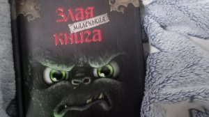 Читаю злую маленькую книгу