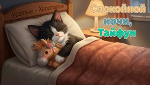 Спокойной ночи, Тайфун