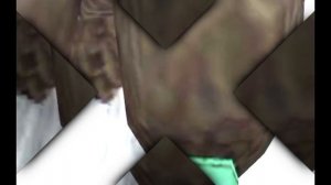 Мой любимый орёл)