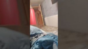 ведите текст